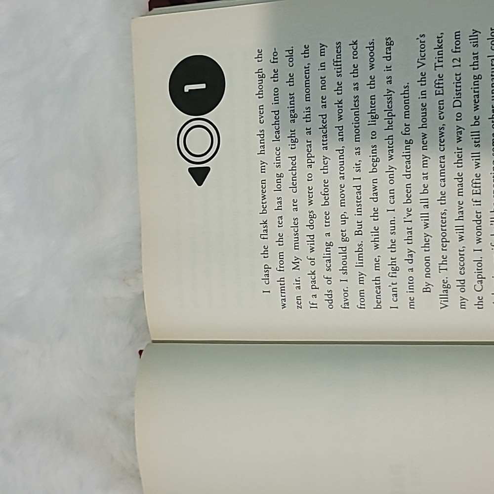 Catching Fire - Picture 5 of 5